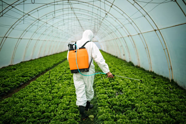 Best Local Pest Control Services  in Hancock, MI