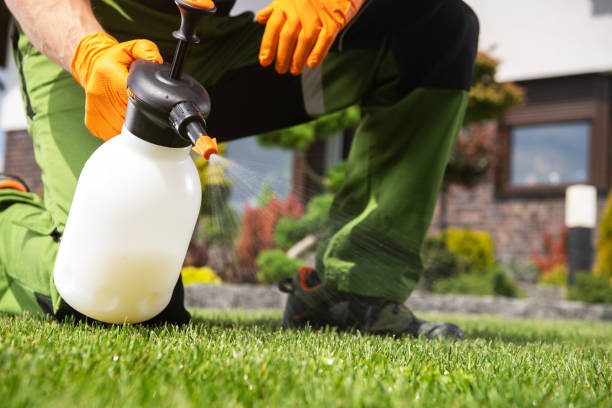 Professional Pest Control in Hancock, MI