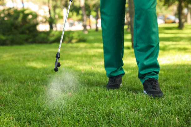 Best Pest Control Near Me  in Hancock, MI