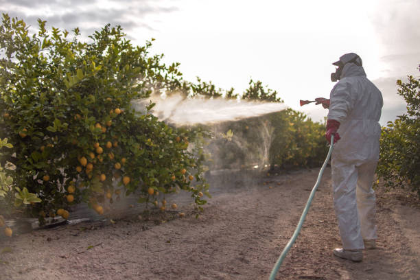 Best Termite Control Services  in Hancock, MI