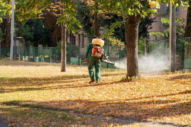 Best Commercial Pest Control Services  in Hancock, MI