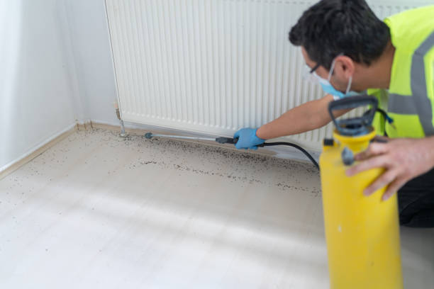 Best Residential Pest Control  in Hancock, MI