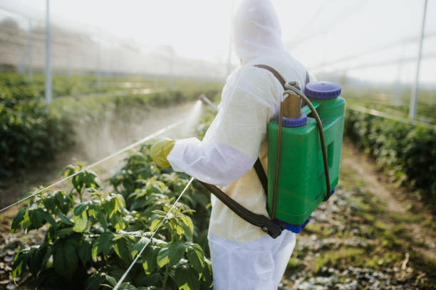 Best Affordable Pest Control Services  in Hancock, MI